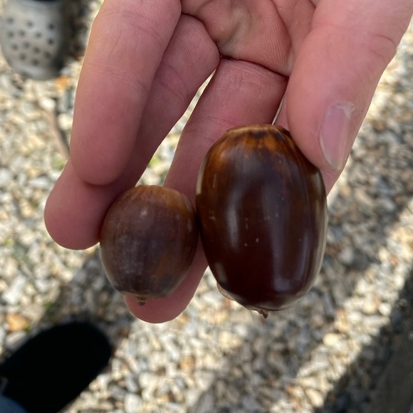 Thanks for a GREAT DAY!! 🥳❣️FLASH SALE HAS ENDED. 😑 - Picture 6 of 7